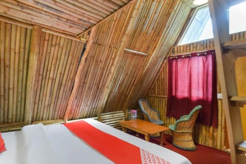 Himalayan Mountaineer-3